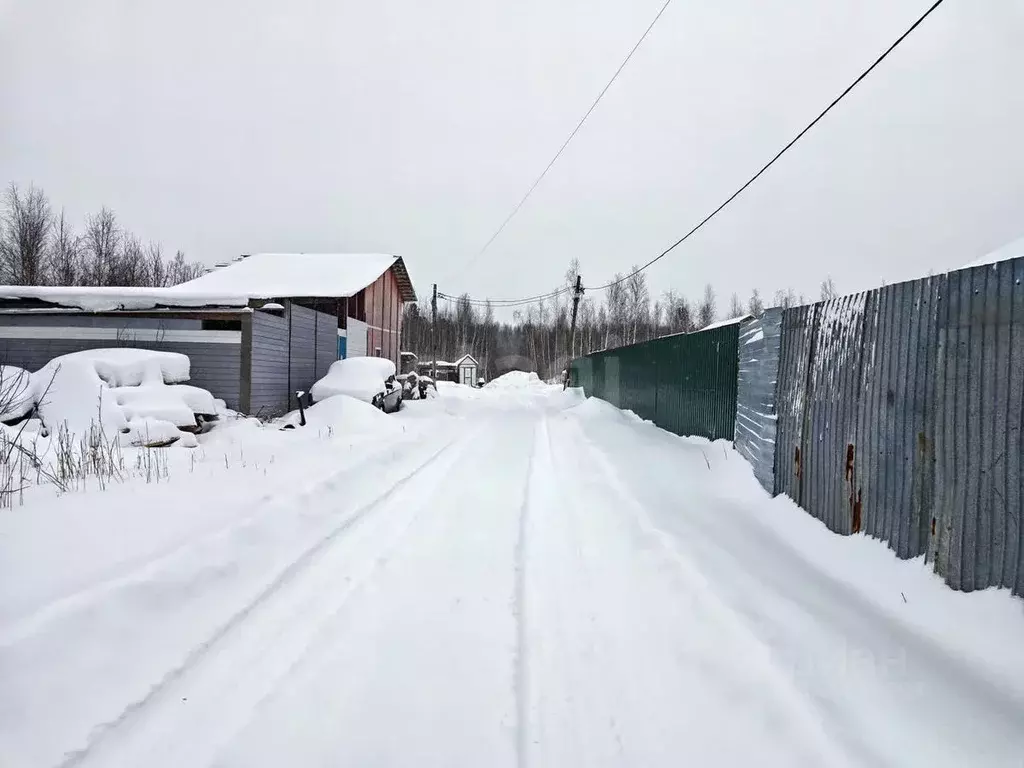 Участок в Тюменская область, Нижнетавдинский район, Сочинские СНТ 3-я ... - Фото 0