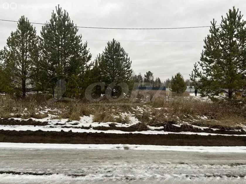 Участок в Нижнетавдинский район, село Тюнево (10 м) - Фото 0