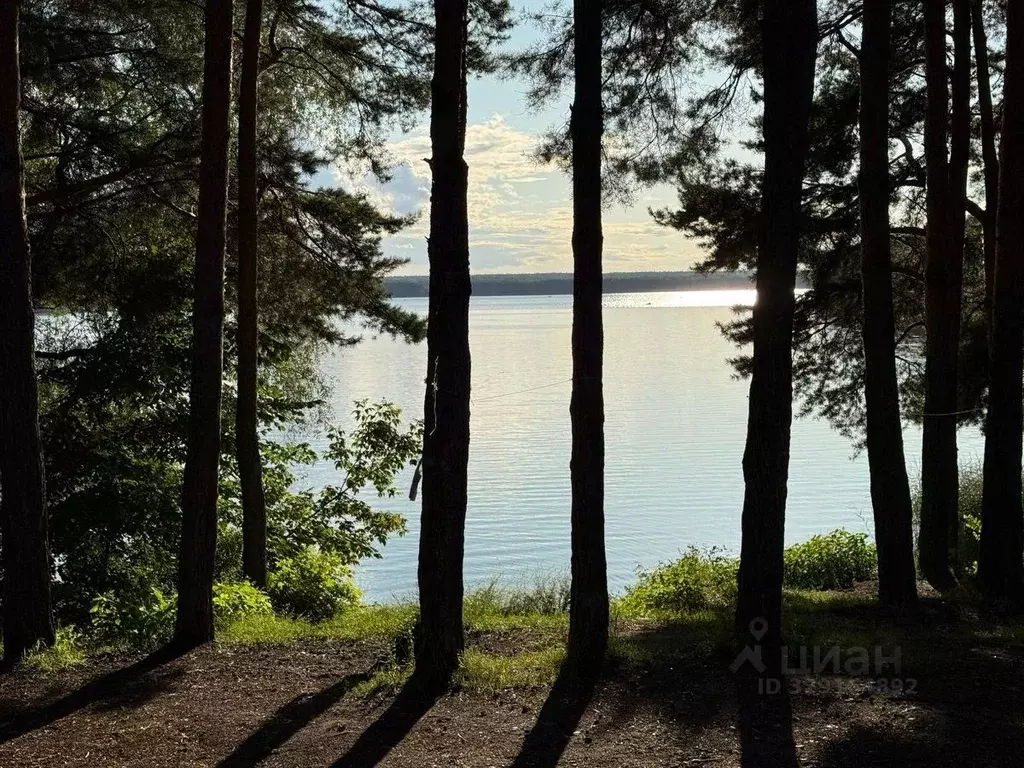 Участок в Московская область, Истра муниципальный округ, д. Алехново  ... - Фото 2
