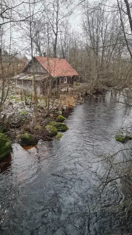 Участок в Карелия, Медвежьегорский муниципальный округ, д. Лумбуши ул. ... - Фото 2