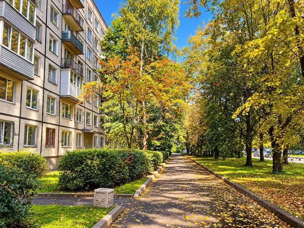 1-к кв. Санкт-Петербург ул. Карпинского, 22 (30.8 м) - Фото 1