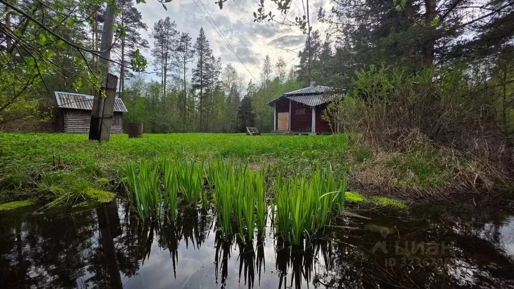 Дом в Карелия, Лахденпохский муниципальный округ, пос. Асилан  (68 м) - Фото 1