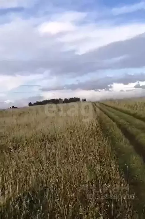 Участок в Кемеровская область, Топки  (116.0 сот.) - Фото 2