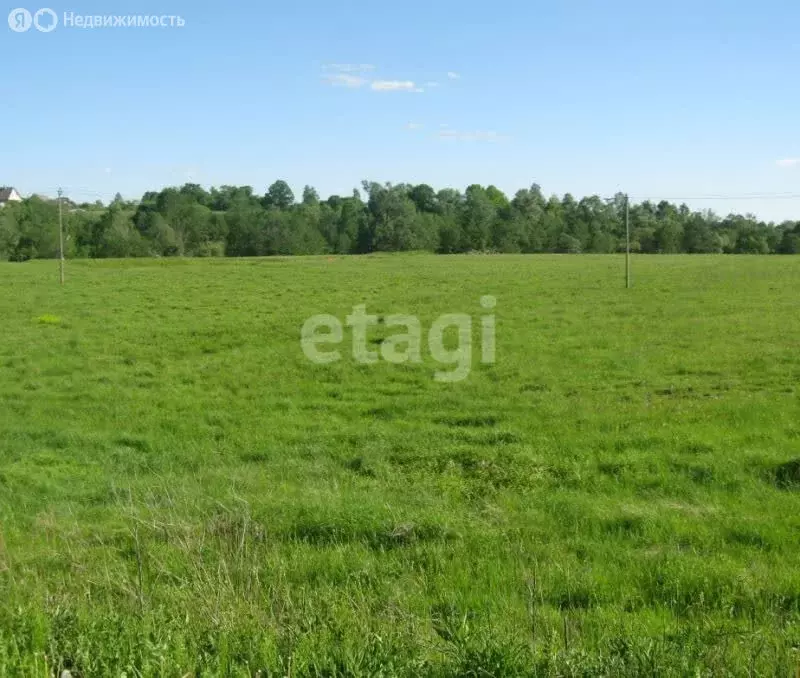 Участок в Тульская область, городской округ Тула, деревня Малиновка ... - Фото 2