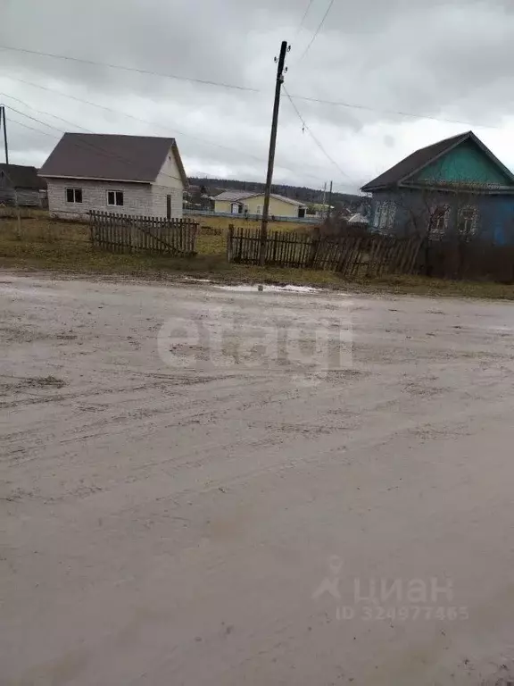 Участок в Пермский край, Октябрьский муниципальный округ, с. Ишимово ... - Фото 1