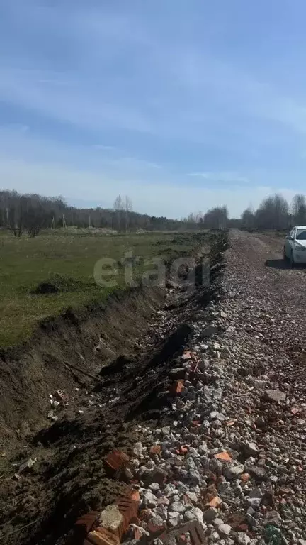 Участок в Тюменская область, Нижнетавдинский муниципальный округ, ... - Фото 1