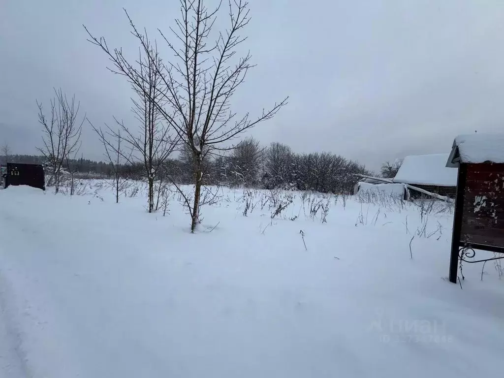 Участок в Тверская область, Калининский муниципальный округ, д. ... - Фото 2
