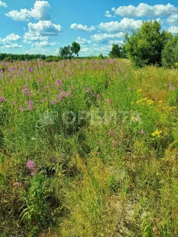 Участок в Тюменская область, Тюменский район, д. Марай  (7.5 сот.) - Фото 0