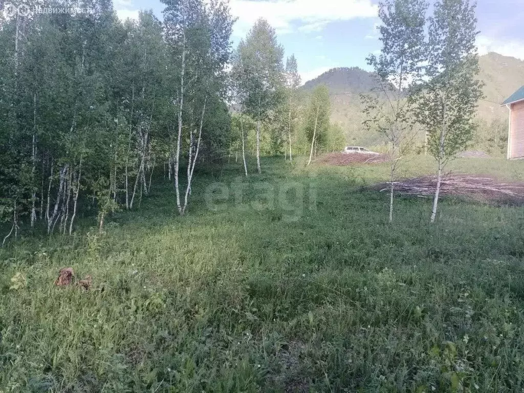 Участок в село Чемал, Сосновая улица (10 м) - Фото 2