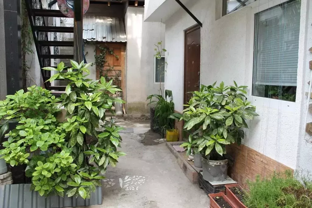 Дом в Крым, Ялта ул. Гоголя, 16 (20 м) - Фото 2