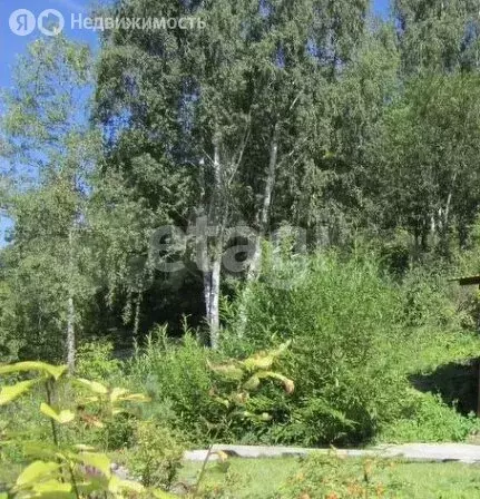 Участок в Пермь, улица Обросова (12 м) - Фото 1