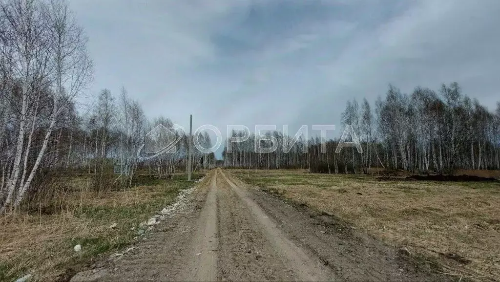 Участок в Тюменская область, Нижнетавдинский район, Строитель ТСН  ... - Фото 1