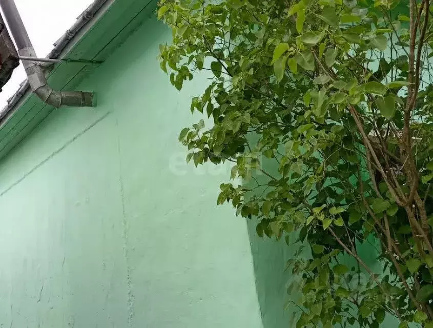 Дом в Вологодская область, Вологда Восток-3 садоводческое ... - Фото 2