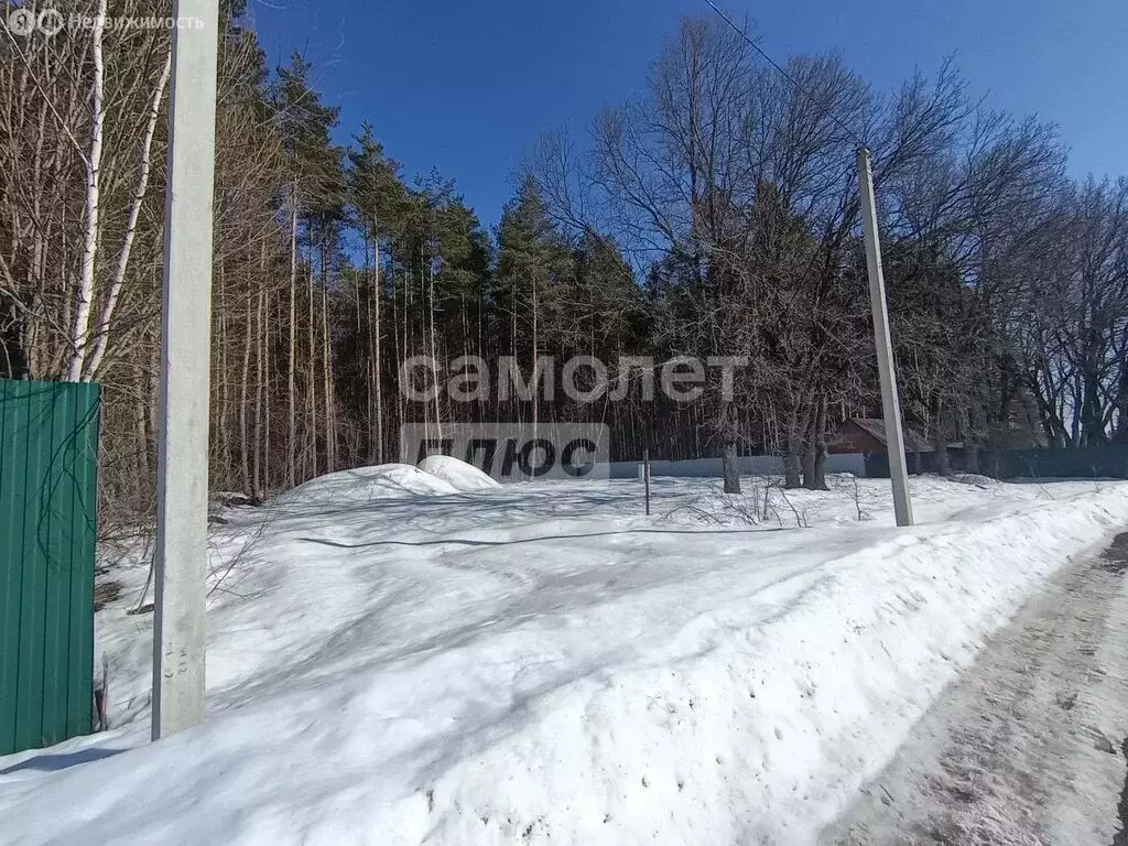 Участок в Пензенский район, Богословский сельсовет, село Малая ... - Фото 2
