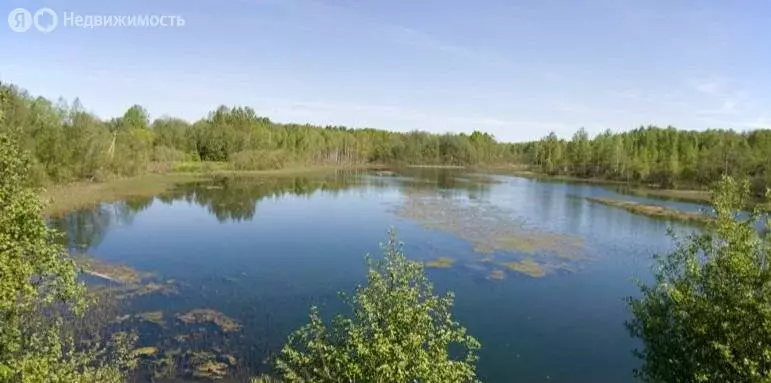 Участок в Волосовский район, Большеврудское сельское поселение (25 м) - Фото 2