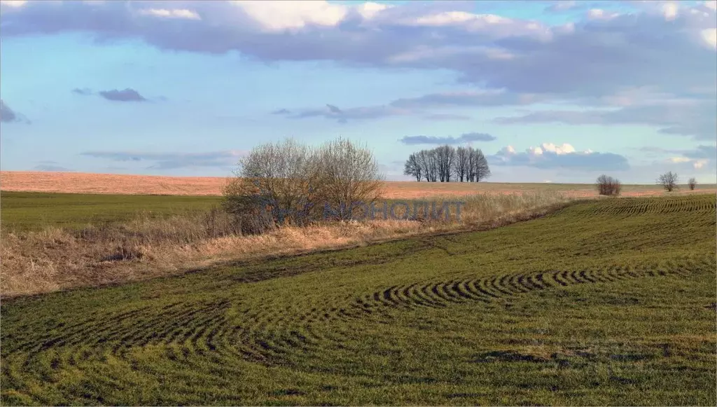 Участок в Нижегородская область, Сергачский муниципальный округ, с. ... - Фото 1