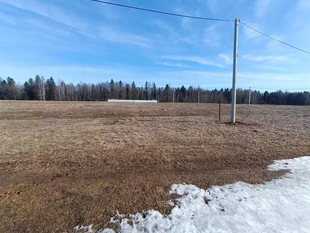 Участок в Пермский край, Пермский муниципальный округ, д. Загришинское ... - Фото 1