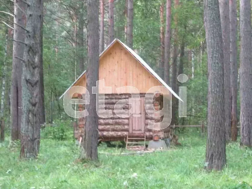 Участок в Тюменская область, Нижнетавдинский район, д. Красный Яр  ... - Фото 1