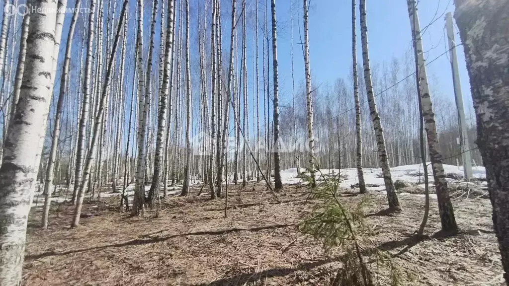 Участок в Владимир, 2-я Сорокинская улица (10.62 м) - Фото 1