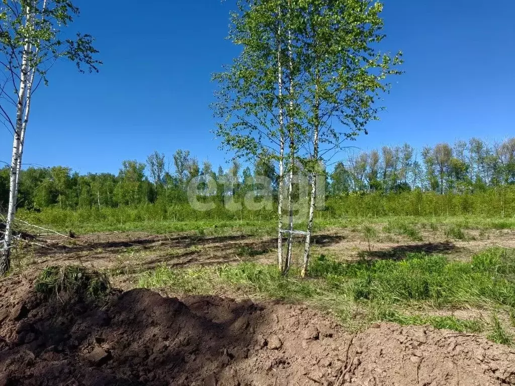 Участок в Тульская область, Тула муниципальное образование, с. ... - Фото 1