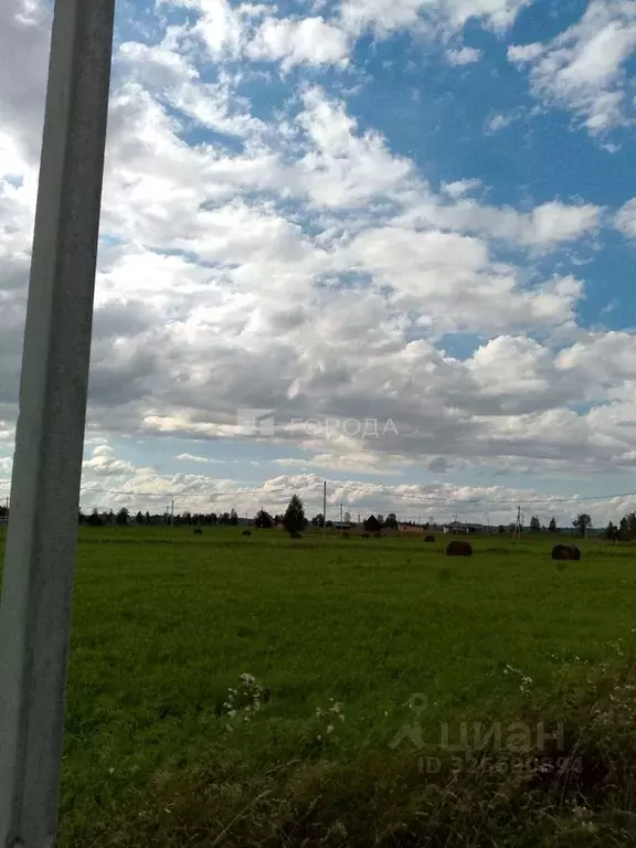 Участок в Новосибирская область, Колыванский район, Сибирская Волость ... - Фото 1