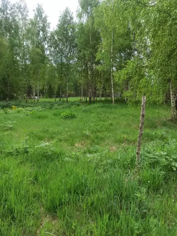 Участок в Тверская область, Калязинский муниципальный округ, д. ... - Фото 1