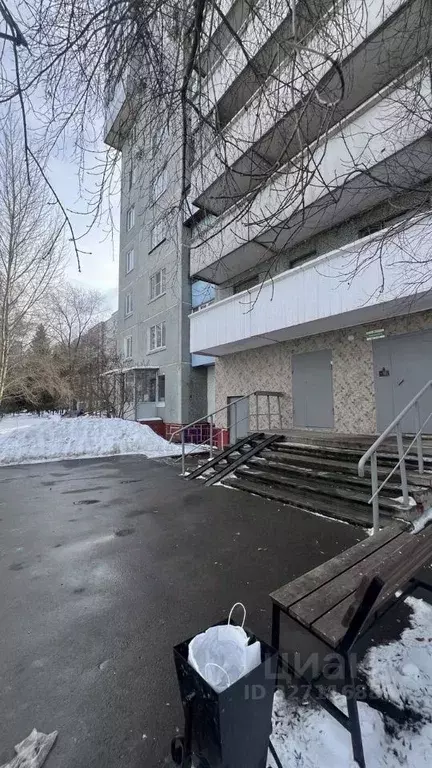 1-к кв. Омская область, Омск ул. Рокоссовского, 8 (38.7 м) - Фото 1