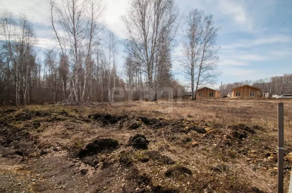 Участок в Новосибирская область, Новосибирский район, Березовский ... - Фото 1