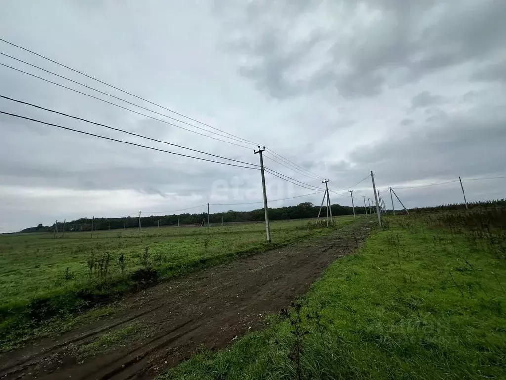Участок в Краснодарский край, Новороссийск городской округ, ... - Фото 0