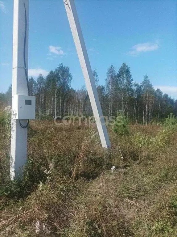 Участок в Тюменская область, Нижнетавдинский район, Журавли ДНП  (10.5 ... - Фото 0