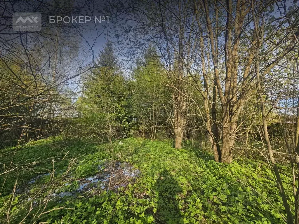 Участок в Санкт-Петербург пос. Парголово, Ключевая ул. (11.0 сот.) - Фото 2