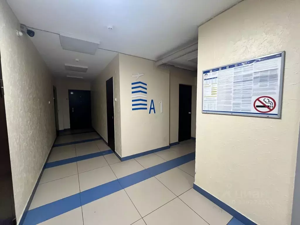 Студия Удмуртия, Ижевск ул. Героя России Ильфата Закирова, 21 (25.8 м) - Фото 0