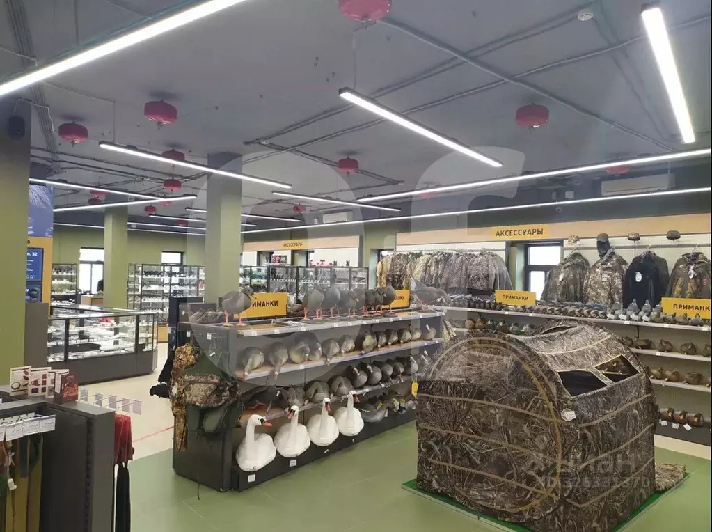 Помещение свободного назначения в Москва Садовническая ул., 29 (870 м) - Фото 2