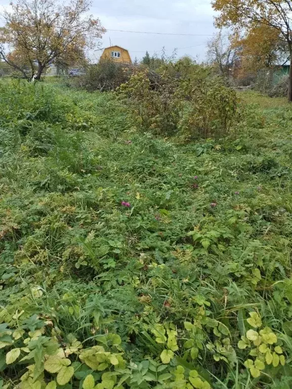 Участок в Ярославская область, Рыбинский муниципальный округ, ... - Фото 1