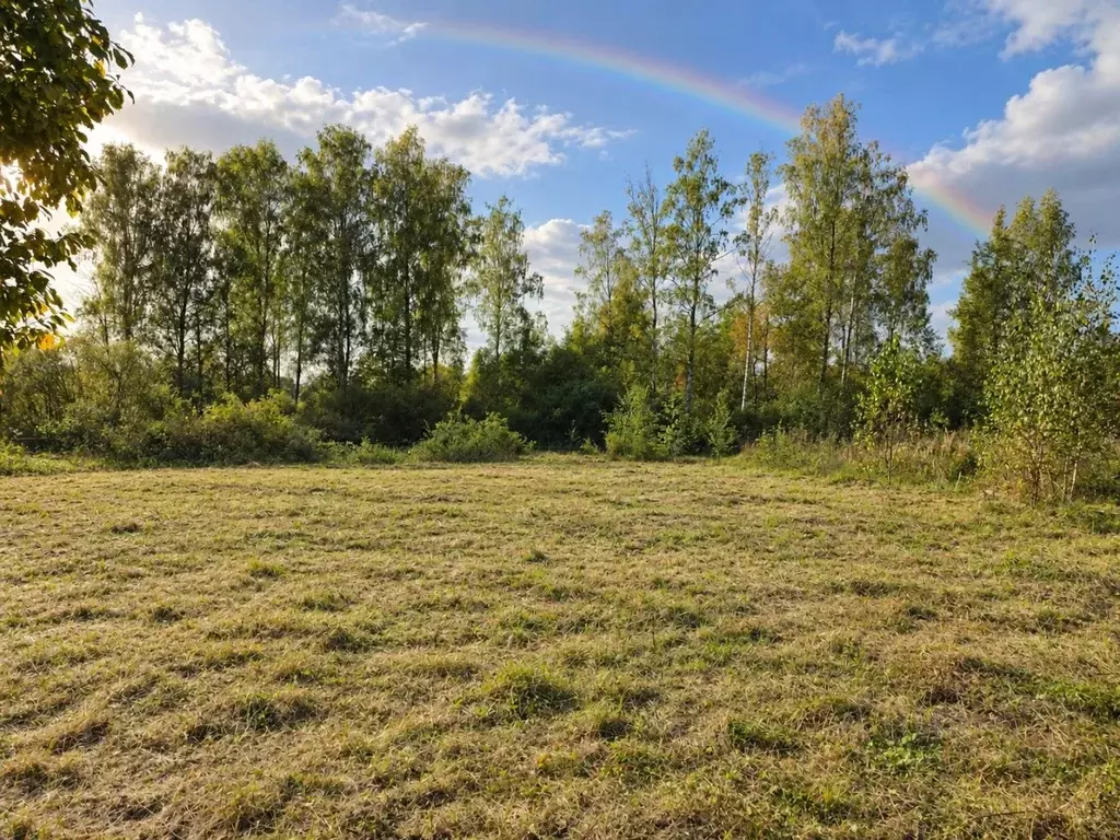 Участок в Московская область, Клин городской округ, д. Васильково  ... - Фото 2