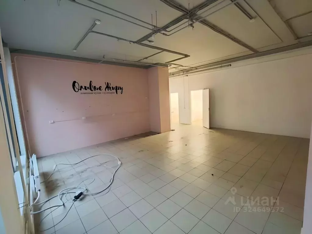 Помещение свободного назначения в Санкт-Петербург ул. Парфеновская, ... - Фото 2