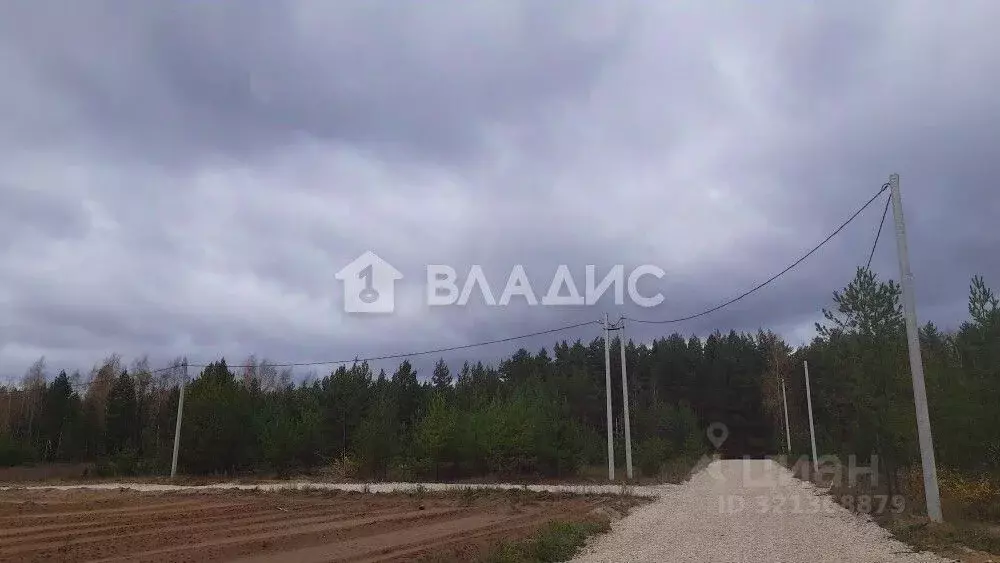 Участок в Владимирская область, Судогодский район, д. Ладога, Ладога ... - Фото 1