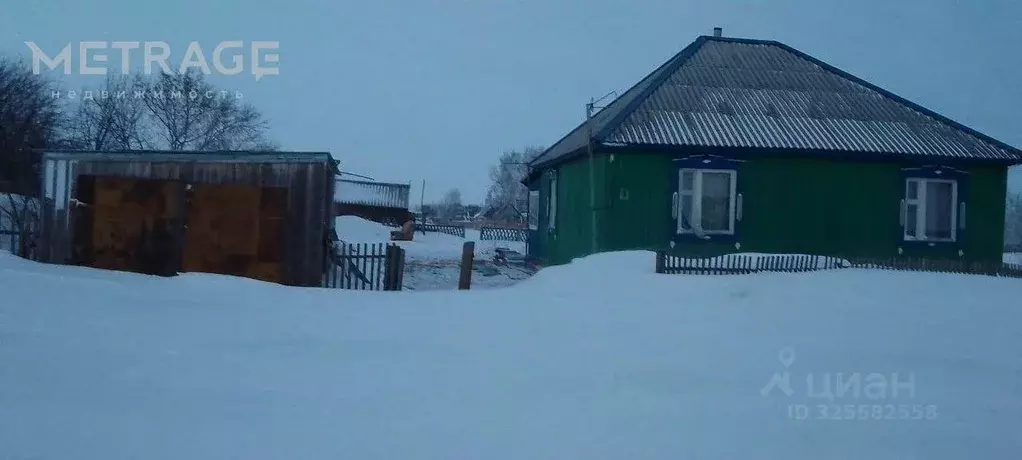 Дом в Новосибирская область, Кочковский район, с. Черновка ул. ... - Фото 1