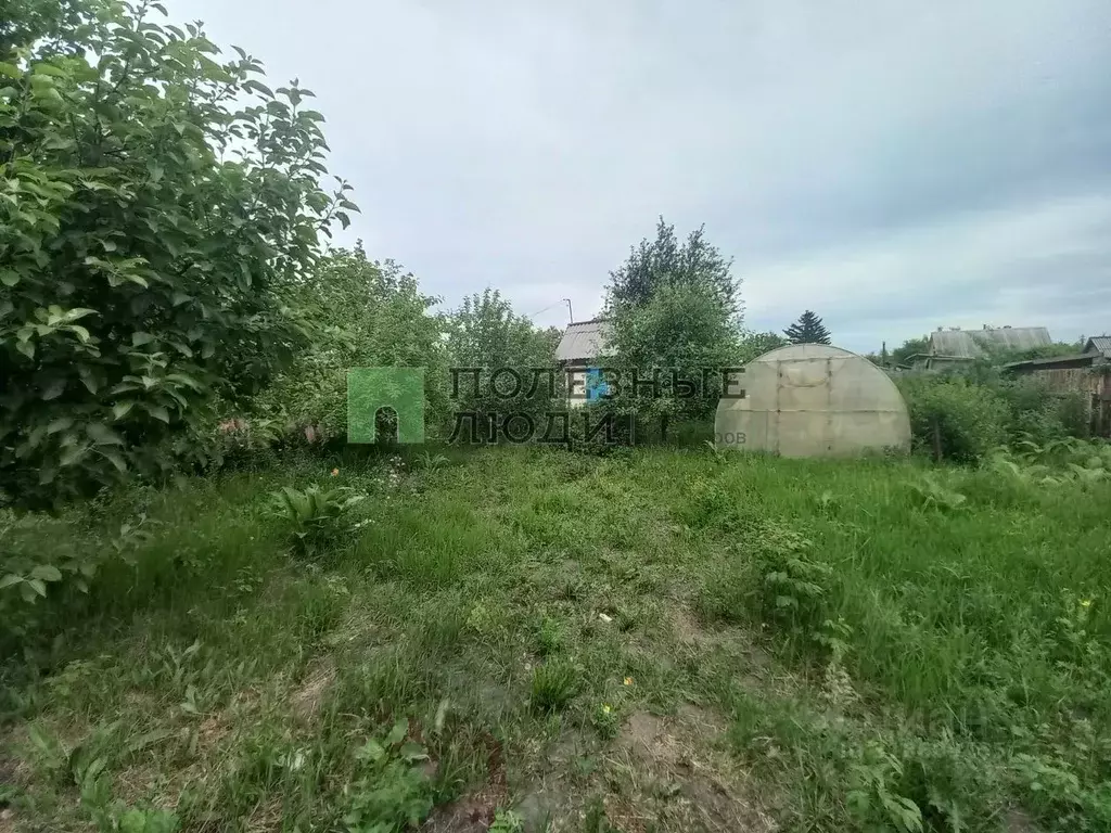 Дом в Курганская область, Курган Железнодорожник СНТ,  (25 м) - Фото 1