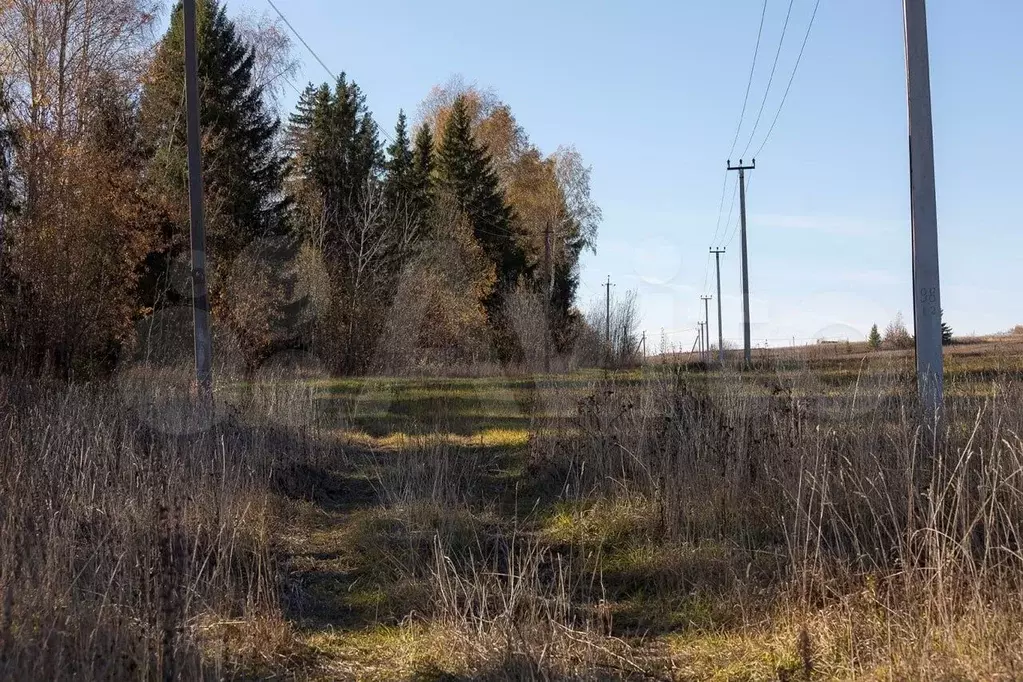 Участок 1,28 га (СНТ, ДНП) - Фото 1