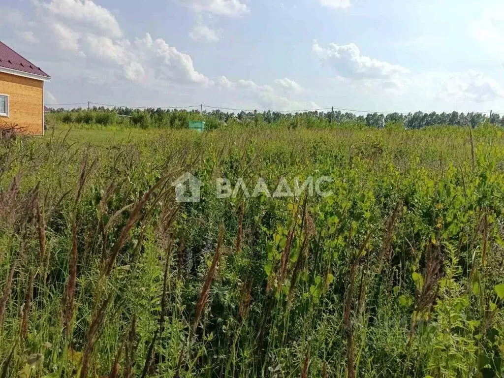 Участок в Нижегородская область, Богородский муниципальный округ, д. ... - Фото 1