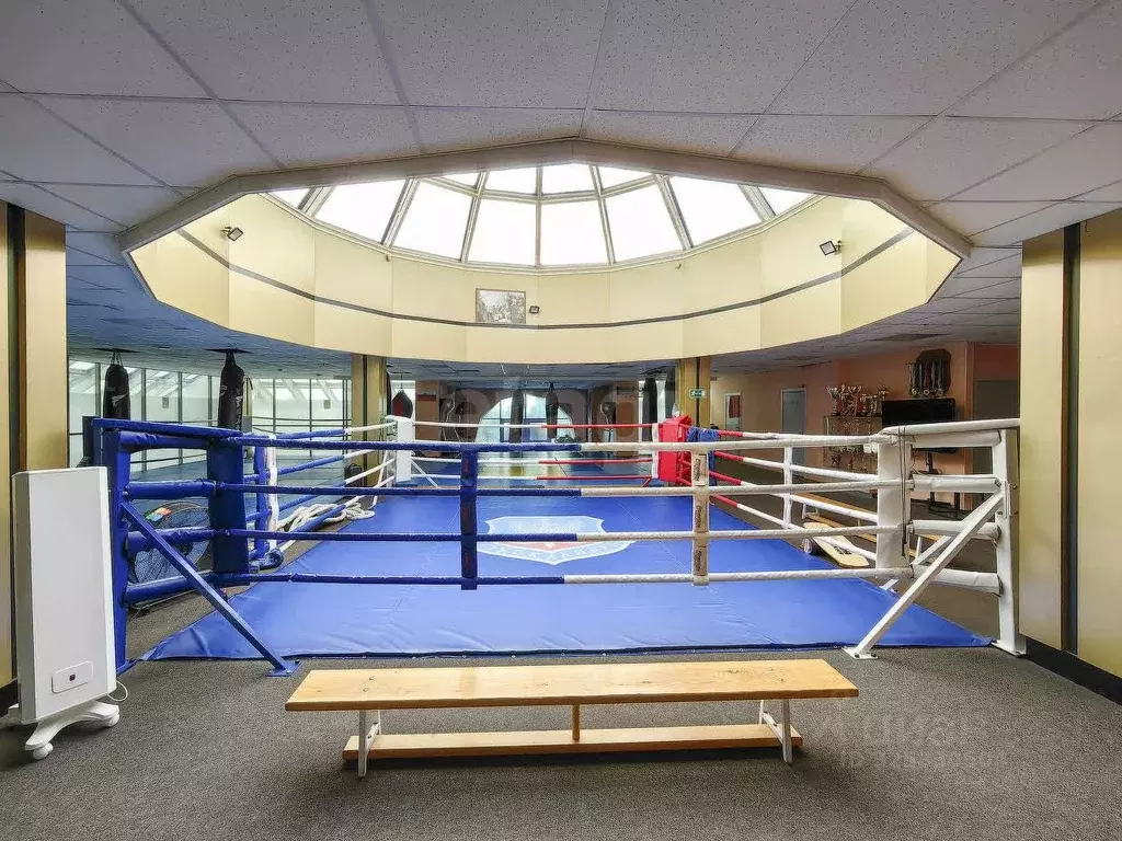 Помещение свободного назначения в Новосибирская область, Новосибирск ... - Фото 1