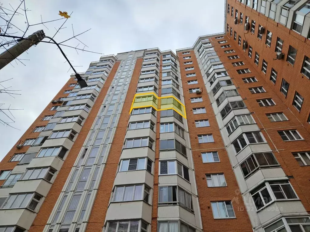 2-к кв. Московская область, Солнечногорск городской округ, Голубое пгт ... - Фото 2