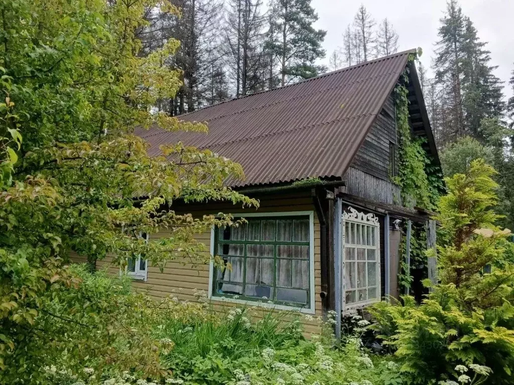 Дом в Ленинградская область, Выборгский район, Рощинское городское ... - Фото 1