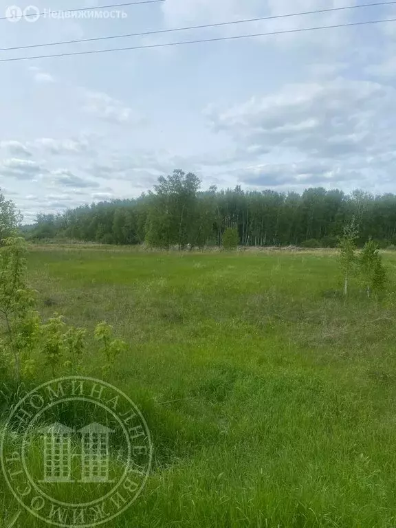 Участок в Новосибирский район, Верх-Тулинский сельсовет (1018 м) - Фото 0