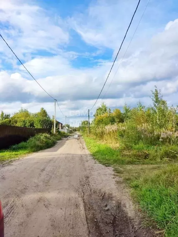 Участок в Тюменская область, Нижнетавдинский район, Сочинские СНТ  ... - Фото 2