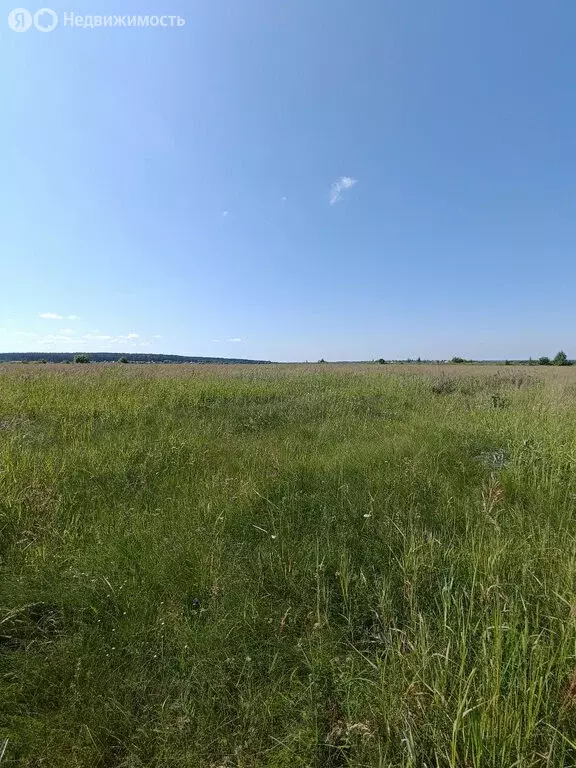 Участок в Владимирская область, Судогодский муниципальный округ, ... - Фото 0