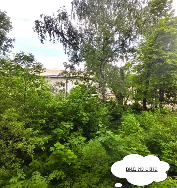 2-к кв. Московская область, Пушкино ул. Льва Толстого, 1А (45.0 м) - Фото 1