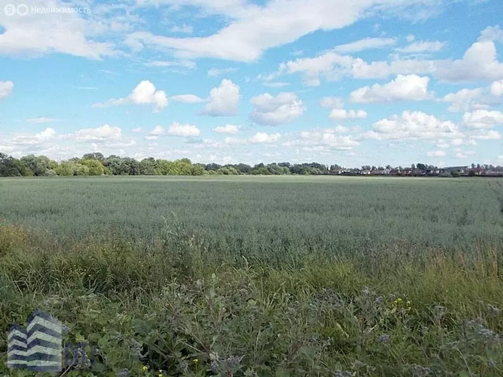 Участок в Московская область, городской округ Домодедово, село ... - Фото 1