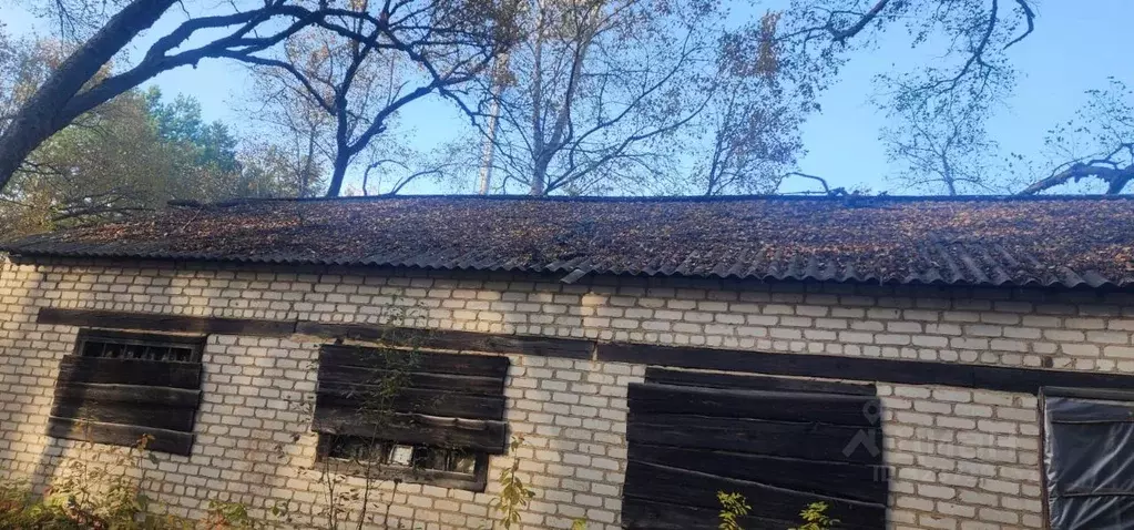 Помещение свободного назначения в Амурская область, Серышевский ... - Фото 1